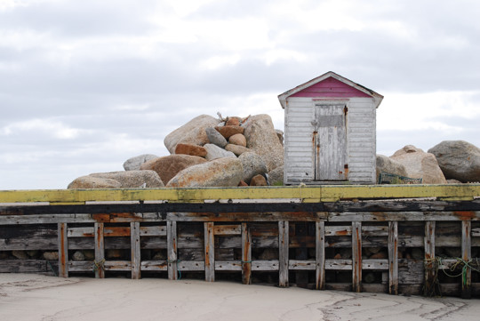  Lumsden - © 2008 Edwin Neeleman 