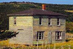 Avalon Peninsula. Copyright (c) 2000 Hilda van der Lee