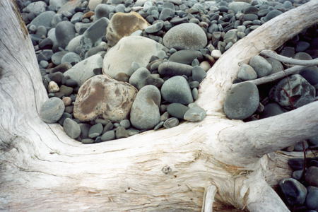 Chance Cove. Copyright (c) 2000 Edwin Neeleman