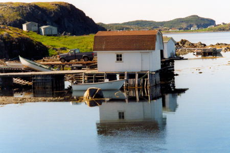 Twillingate. Copyright © 2000 Edwin Neeleman