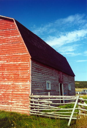 Avalon Peninsula. Copyright (c) 2002 Edwin Neeleman