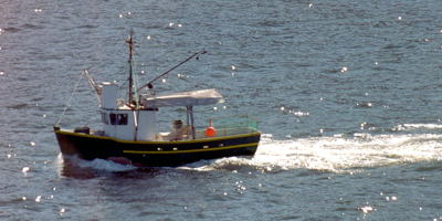 A fishing boat is entering the harbour of La Scie, May 2004. Copyright © 2004, Edwin Neeleman