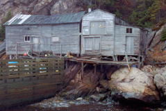 Shoe Cove. Copyright (c) 2004 Hilda van der Lee