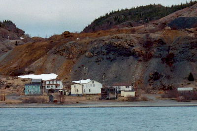 Tilt Cove, May 2004. Copyright © 2004, Edwin Neeleman