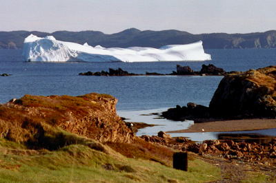 Back Harbour, Twillingate, May 2004. Copyright © 2004, Edwin Neeleman