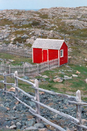 Bonavista, June 2005. Copyright © 2005 Edwin Neeleman