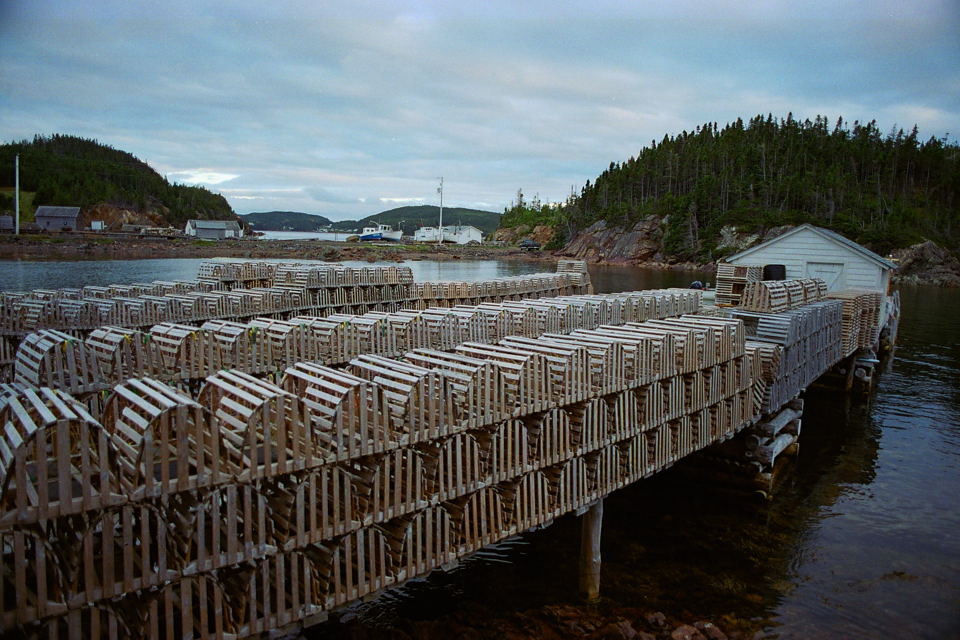 Moore's Cove, August 2006. Copyright © 2006, Edwin Neeleman