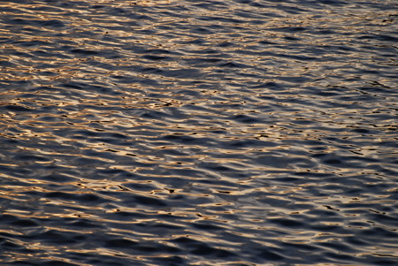 Twillingate, Sleepy Cove, August 2008. Copyright (c) 2008 Edwin Neeleman