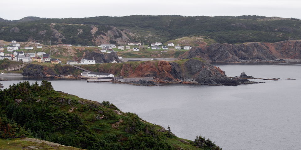 Crow Head, Twillingate, August 2008. Copyright © 2008 Edwin Neeleman.