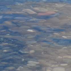 Cairn in Flood. Copyright © 2008 Edwin Neeleman