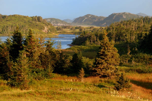 Sandbanks Provincial Park, Burgeo, september 2008. Copyright (c) 2008, Edwin Neeleman