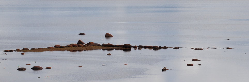 Terra Nova National Park, september 2008. Copyright (c) 2008 Edwin Neeleman