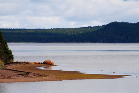 Terra Nova National Park, September 2008. Copyright © 2008 Edwin Neeleman