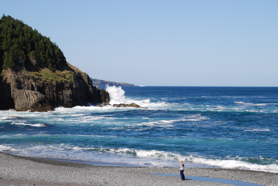 Middle Cove, september 2008. Copyright (c) 2008 Edwin Neeleman