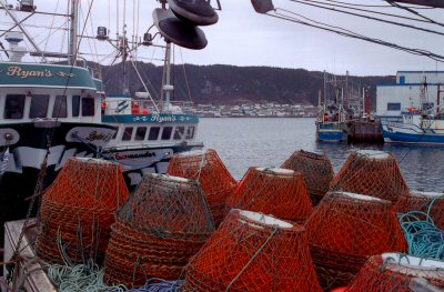 La Scie, May 2004. Copyright © 2004 Edwin Neeleman