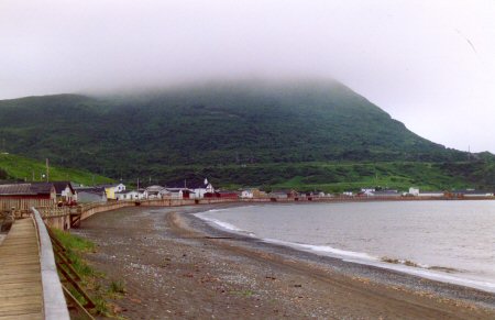 Trout River, Boardwalk by the Sea